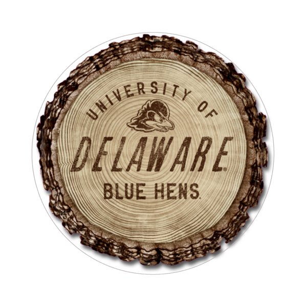 18 diameter-Car magnet