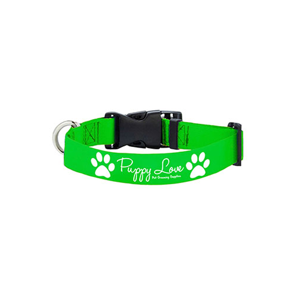 20LHeavyDutyPetCollarwithBuckleRelease-Gold