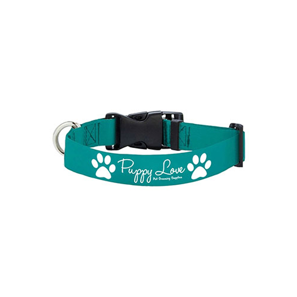 20LHeavyDutyPetCollarwithBuckleRelease-Teal