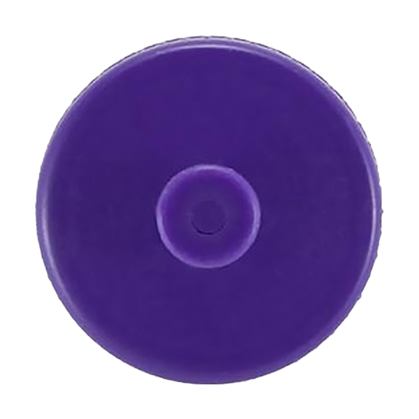 20_oz._Value_Sports_Bottle_purple