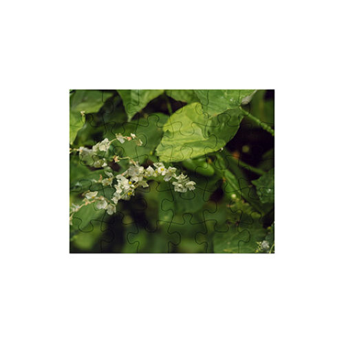 30 Piece Jigsaw Photo Puzzle