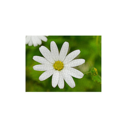 500 Piece Jigsaw Photo Puzzle