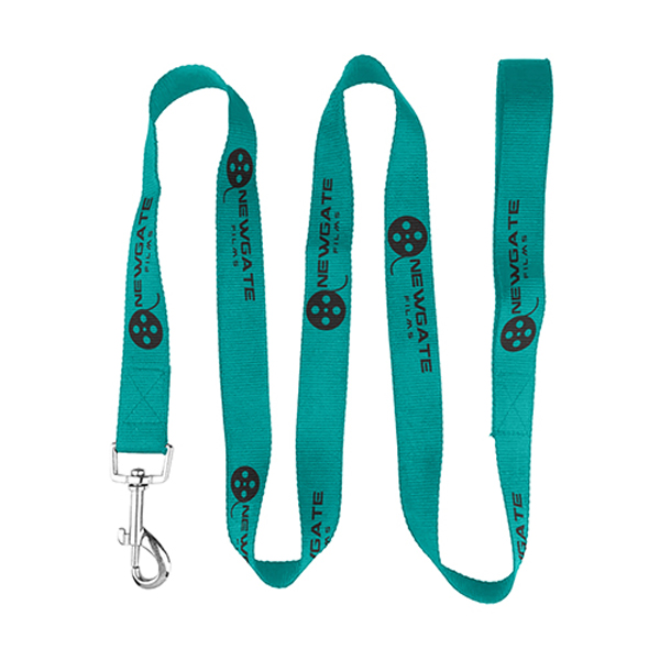72LDurablePetLeashwithMetalCarabiner-Teal