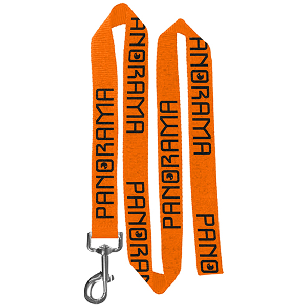 72LPolyesterPetLeashwithMetalCarabiner-Orange