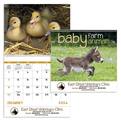 Baby Farm Animals 13 Month Spiral Calendar