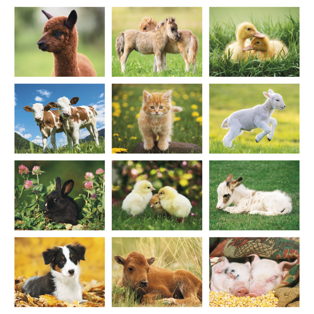 Baby_Farm_Animals_Stapled_Calendar_months-27