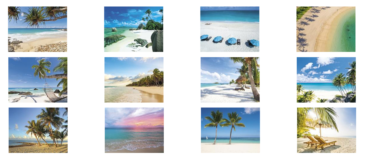 Beaches_Appointment_Calendar_Stapled_Months-27