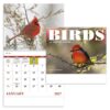Birds of North America 13 Month Spiral Calendar
