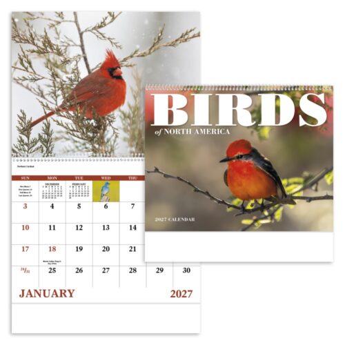 Birds of North America 13 Month Spiral Calendar