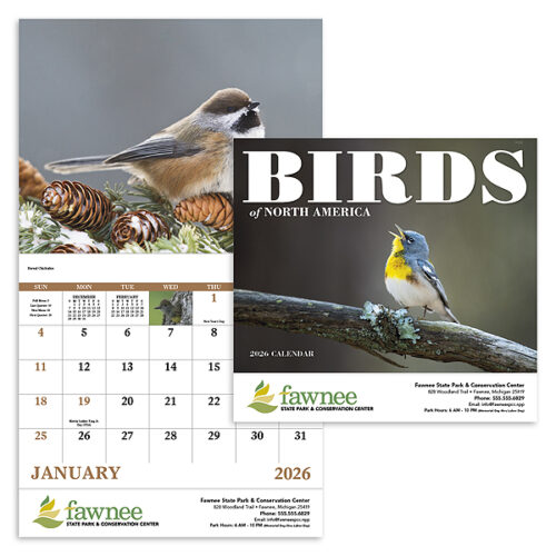 Birds of North America 13 Month Stapled Calendar