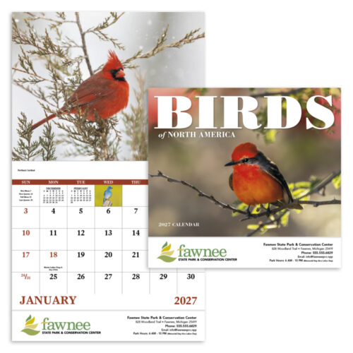 Birds of North America 13 Month Stapled Calendar