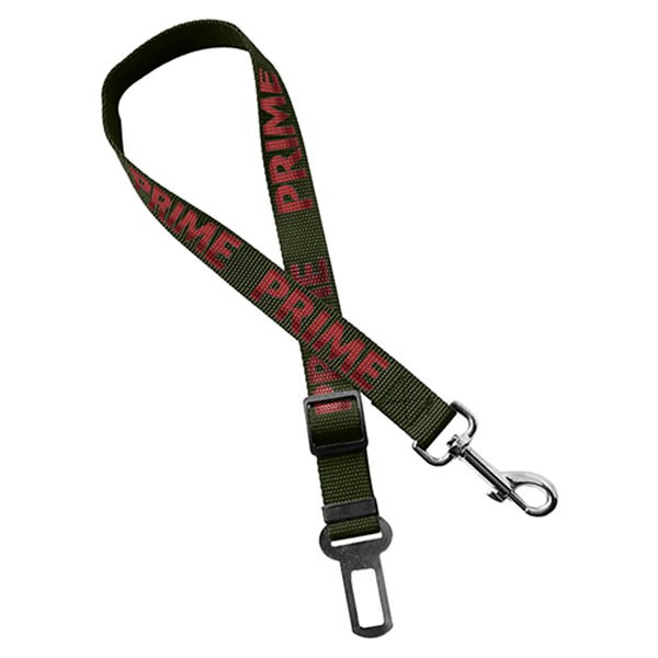 EcoFriendlyAdjustablePetSafetySeatbeltLeash-Green