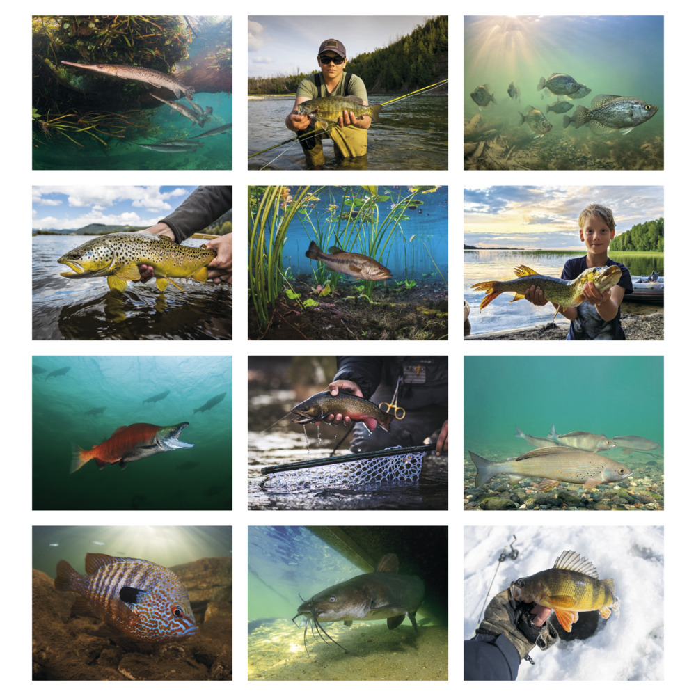 Fishing_Stapled_Calendar_months-27