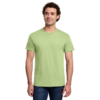 Pistachio