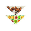 Medium Pet Bandana