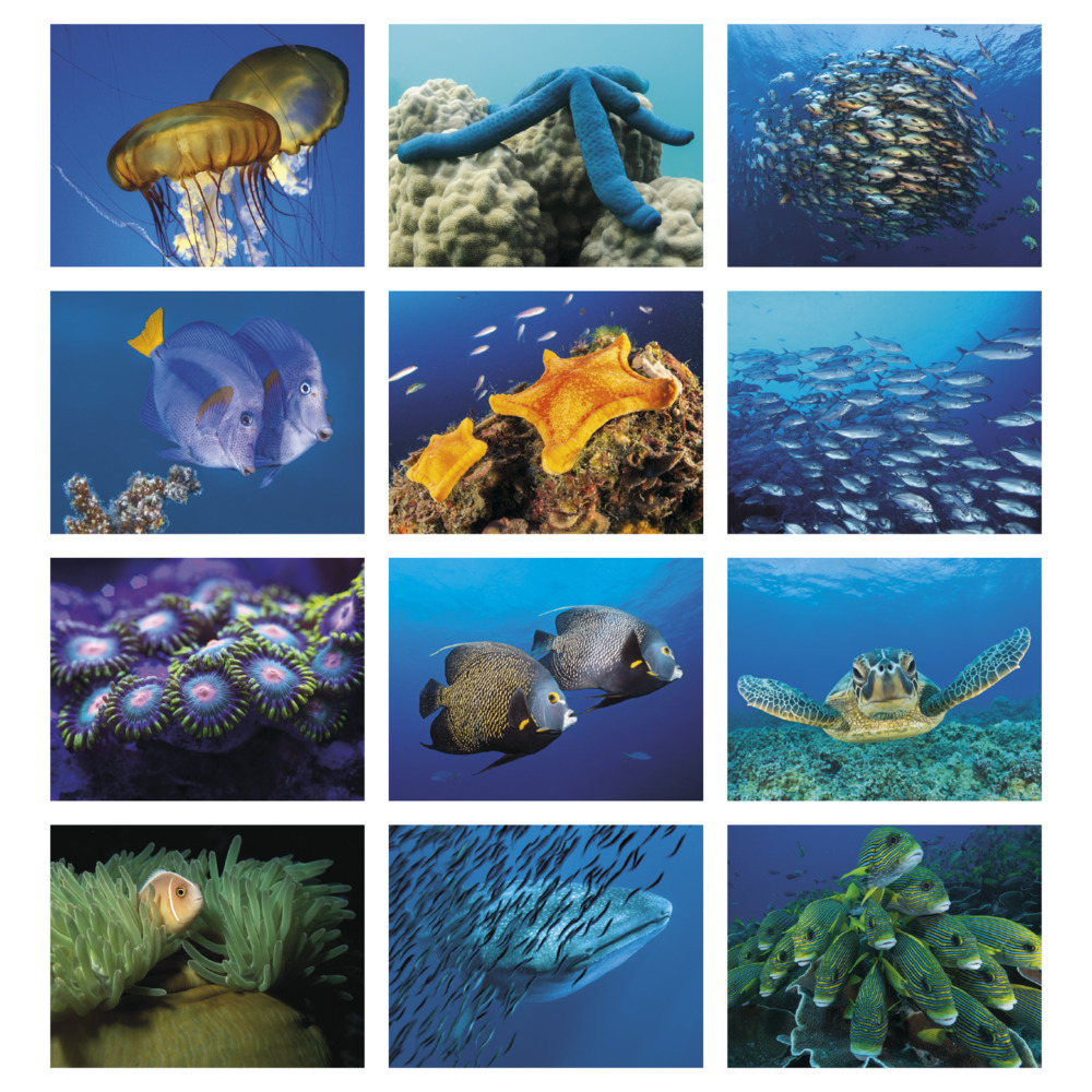 Ocean_Glory_Spiral_Calendar_months-27
