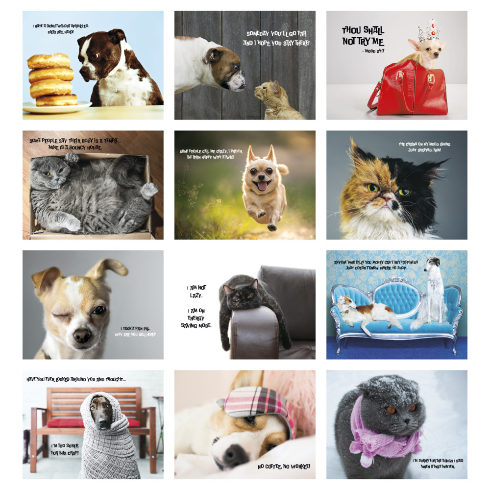 Pets_with_Attitude_Stapled_Calendar_months-27