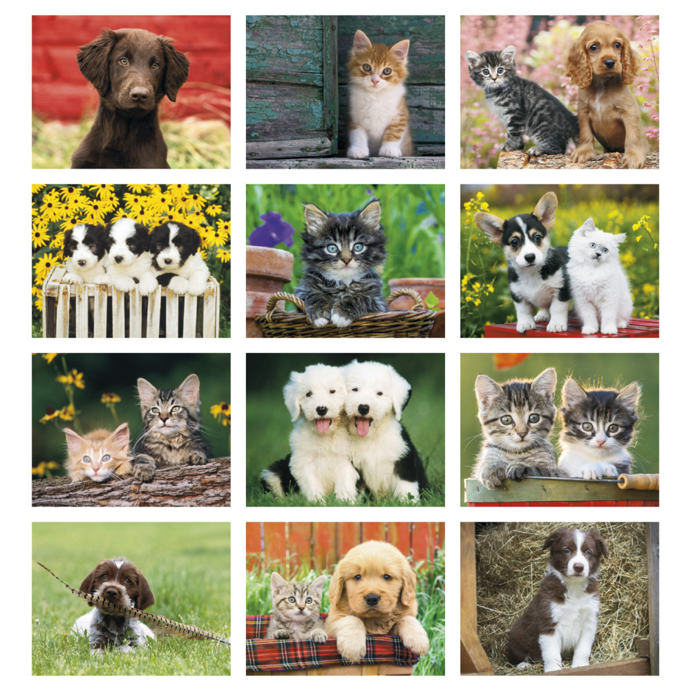 Puppies___Kittens_Window_Calendar_months-27
