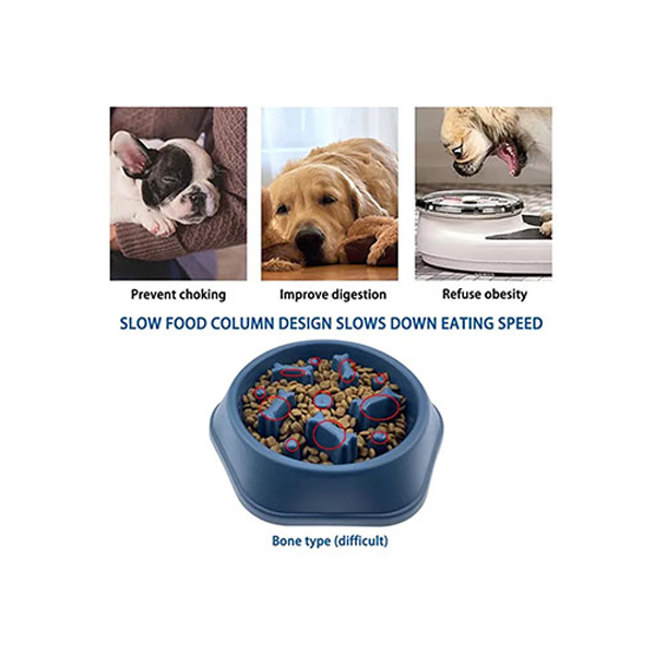 SlowFoodFeedingPetBowl-Gallery2