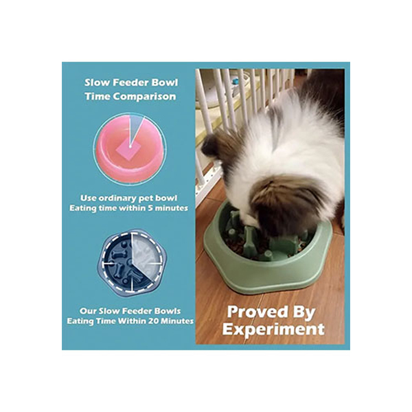 SlowFoodFeedingPetBowl-Gallery3