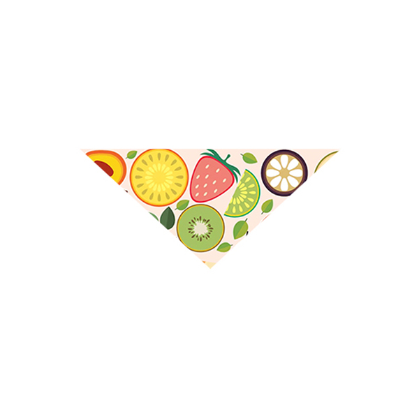 SmallPetBandana-White