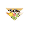 Small Pet Bandana
