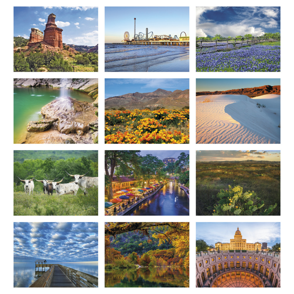 Texas_Appointment_Calendar_Stapled_months-27