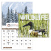 Wildlife Portraits 13 Month Window Calendar