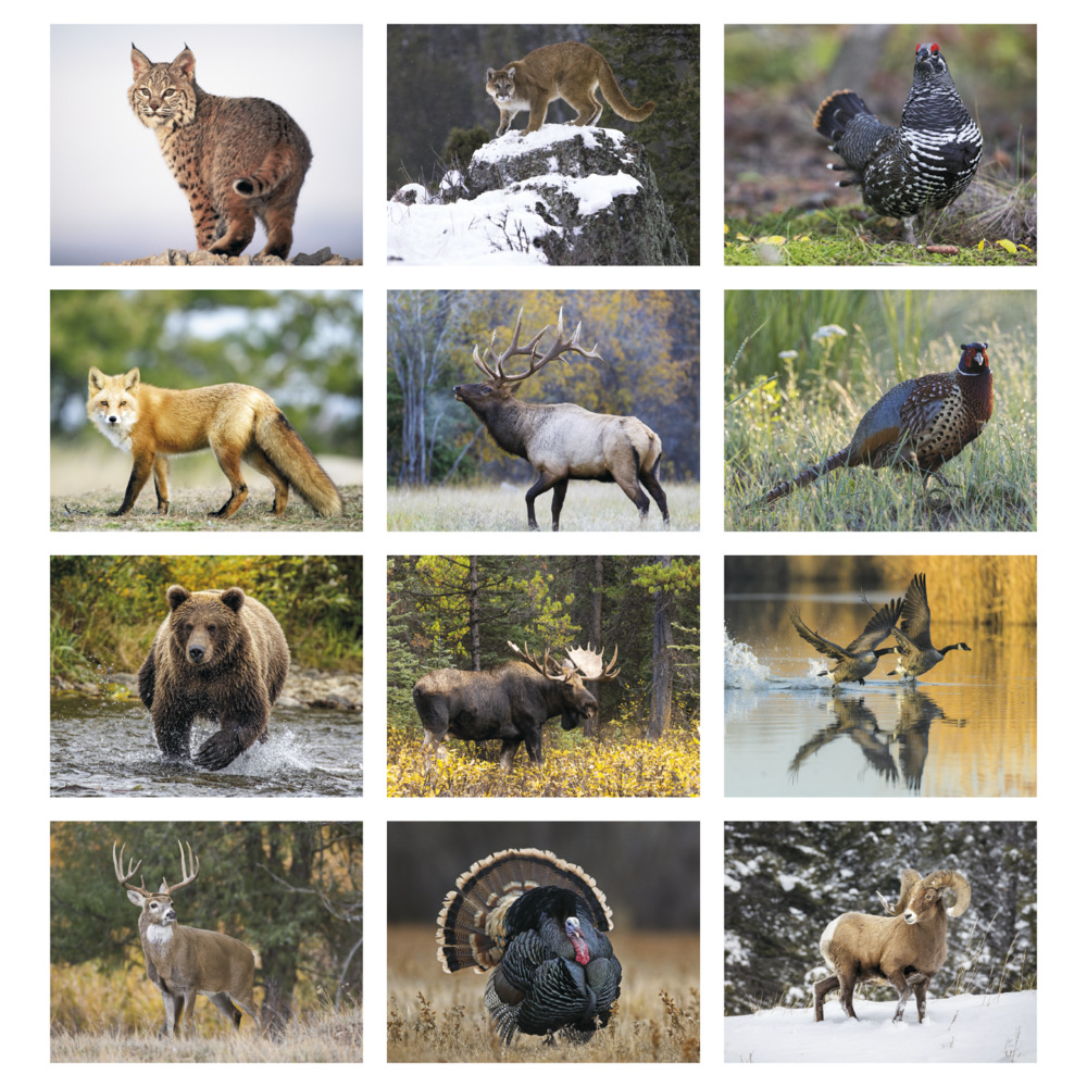 Wildlife_Appointment_Calendar_Spiral_months-27