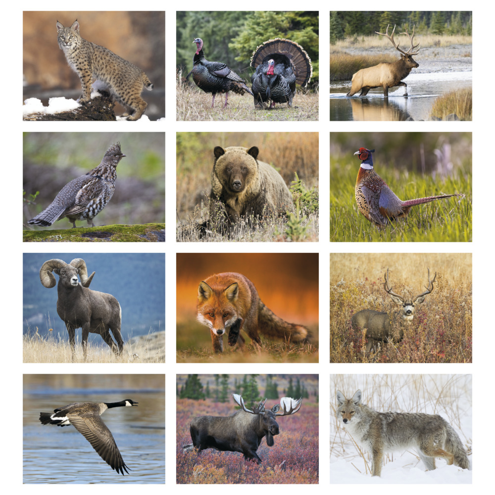 Wildlife_Portraits_Stapled_Calendar_months-27