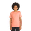 Soft Coral